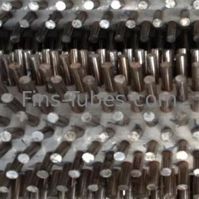 TP316 ha fissato il tubo